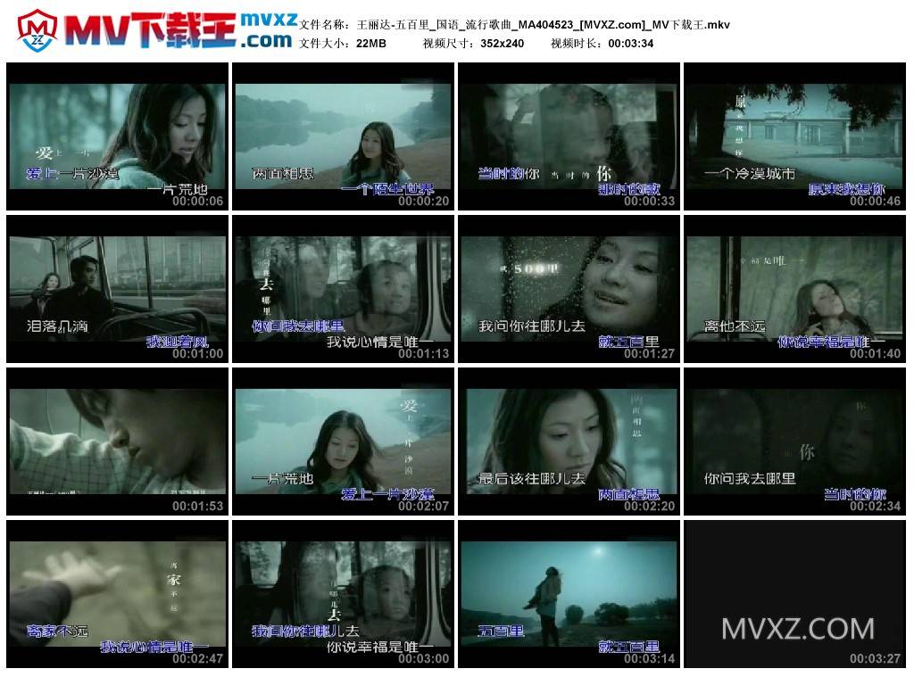 王丽达-五百里_国语_流行歌曲_MA404523